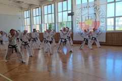 IMG-20260620-WA0006