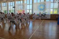 IMG-20260620-WA0008